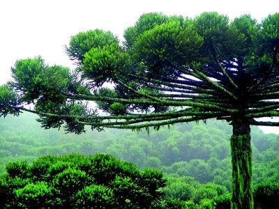 PG-16-a-17-Foto-01-1024x768