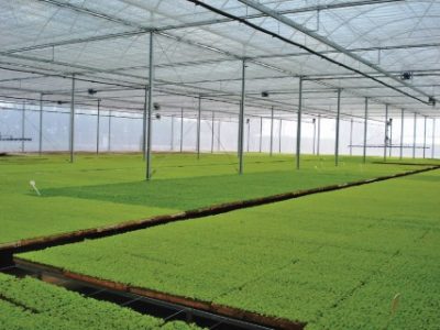 PG-16-a-17-Foto-01-Telefone-1