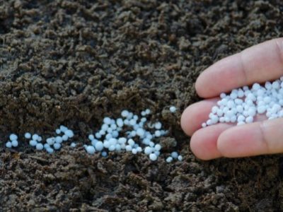 PG-16-a-17-Foto-02-Telefone