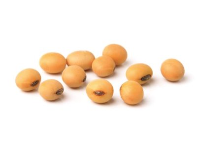 soy beans on white background.