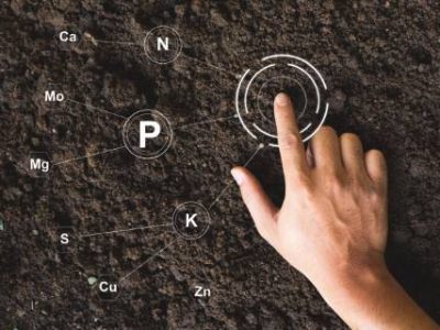 The man's hand touches the loamy soil with proper technology for cultivating the soil containing the nutrients that are essential to plants. It is a fertile soil suitable for agriculture.