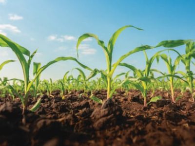 PG-18-a-20-Foto-01-Telefone-1