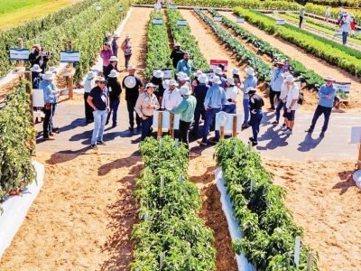 biotrop na hortitec 2025