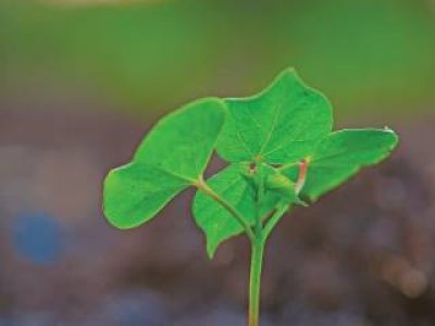 PG 20 a 23 - Foto 01 (Telefone)