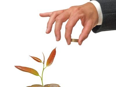 Iniciativa garante o cuidado do meio ambiente