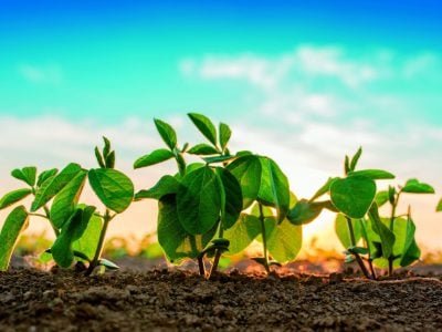 PG-21-a-23-Foto-02-1