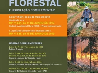 Código Florestal: Alvo de intensa polêmica entre ambientalistas e ruralistas