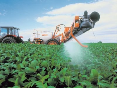 PG 24 a 25 - Foto 01 (Pequeno)