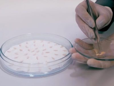 PG-24-a-25-Foto-01-Telefone