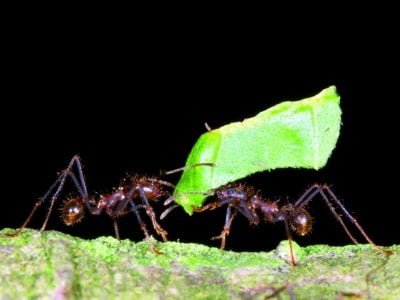 PG-26-a-27-Foto-01-1024x742