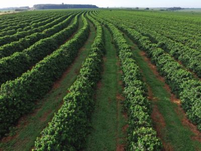 PG 26 a 27 (Pequeno)