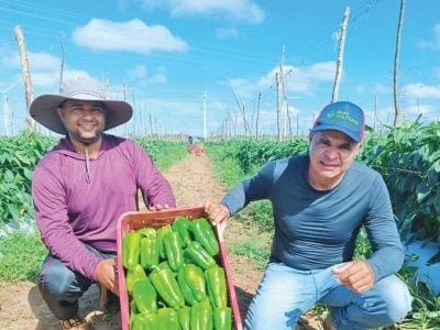 PG 30 a 31 - Foto 01 (Grande)