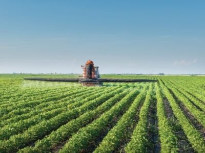 PG 30 a 32 - Foto 01 (Pequeno)