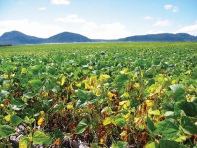 PG 32 - Foto 01 (Telefone)