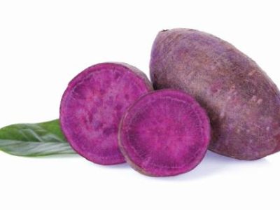 potato purple sweet on white background