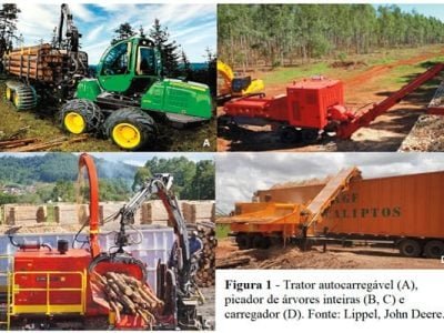 Picador de árvores inteiras