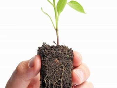 PG 34 a 35 - Foto 01 (Pequeno)