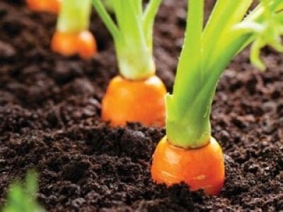 PG 34 a 37 - Foto 01 (Telefone)