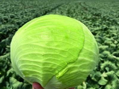 PG-34-a-38-Foto-01-Panorama