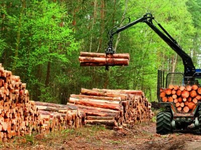 PG-36-a-37-Foto-01-1024x596