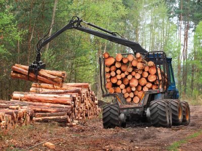 Colheita: Muito além do corte das árvores