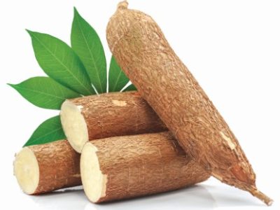 Cassava root isolated on white background