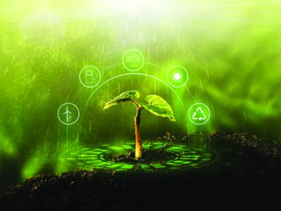 Young  plant growing at sunlight. Environment and ecology concept. Sources for renewable, sustainable development.