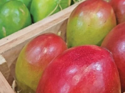 PG 44 a 45 - Foto 01 (Pequeno)