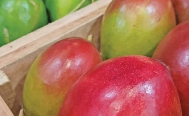 PG 44 a 45 - Foto 01 (Pequeno)