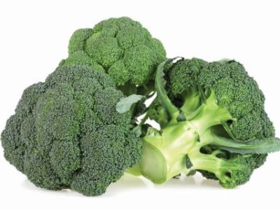 Delicious fresh broccoli isolated on a white background