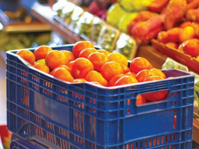 Caixa PLC Distribuidora