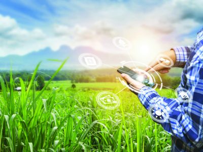 Innovation technology for smart farm system, Agriculture management, Hand holding smartphone with smart technology concept. asian male farmer working in Sugarcane farm To collect data to study.