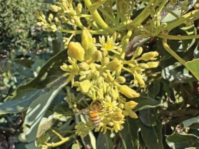 PG 58 a 61 - Foto 01 (Pequeno)