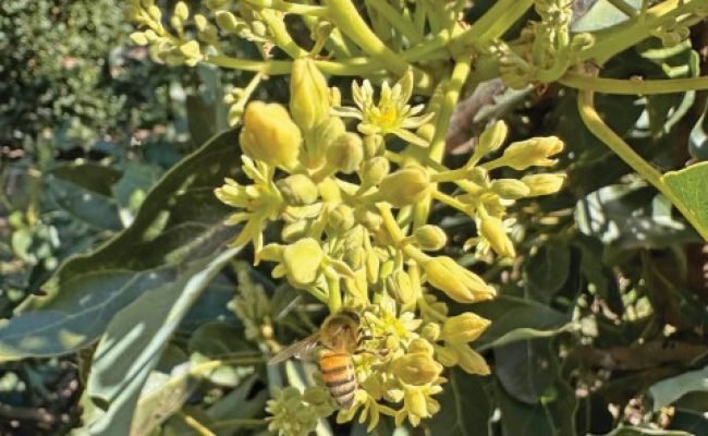 PG 58 a 61 - Foto 01 (Pequeno)