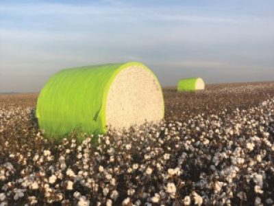 PG-59-Foto-01-Telefone