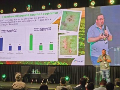 PG 60 a 61 - Foto 01 (Médio)