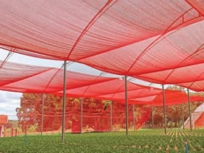 PG 62  a 63 - Foto 01 (Telefone)