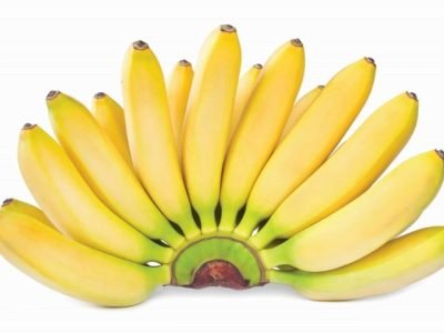 bananas isolated on white.Yellow ripe juicy fruits isolated on white background.still life of summer tropical fruits for a vegetarian Breakfast.