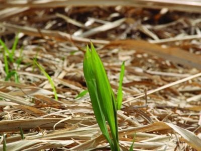 PG-64-a-67-Foto-01-683x1024