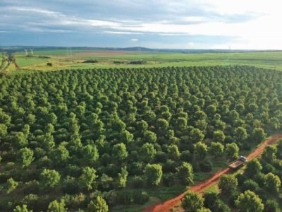 PG 66 a 67 - Foto 01 (Pequeno)