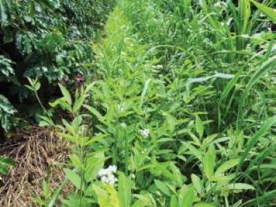 PG-66-a-69-Foto-02-Telefone