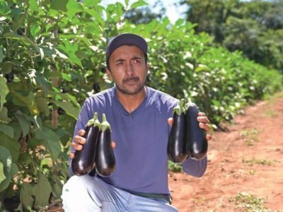 PG 68 a 69 - Foto 01 (Pequeno)