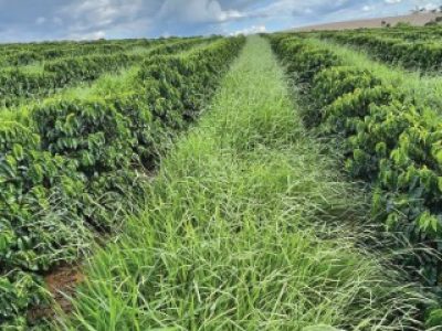 PG-68-a-69-Foto-01-Telefone