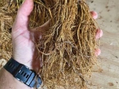 PG 68 a 69 - Foto 03 (Telefone)