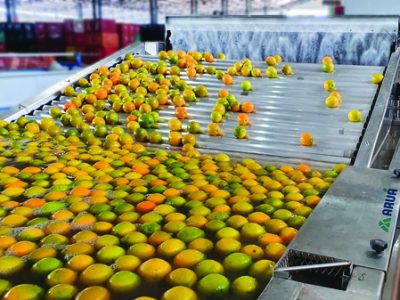 PG 68 a 70 - Foto 01