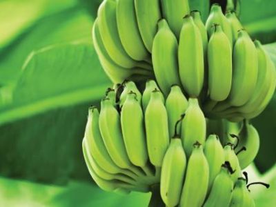 PG 69 a 71 - Foto 02 (Telefone)