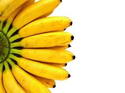 PG-70-a-71-Foto-01-1