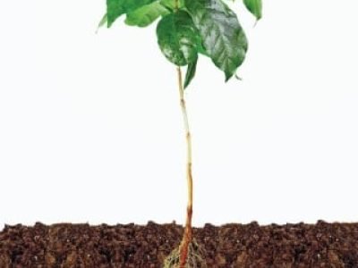 PG 70 a 71 - Foto 01 (Telefone)