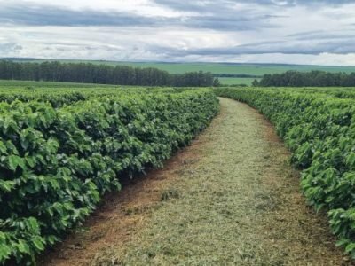 PG 70 a 75 - Foto 01 (Pequeno)