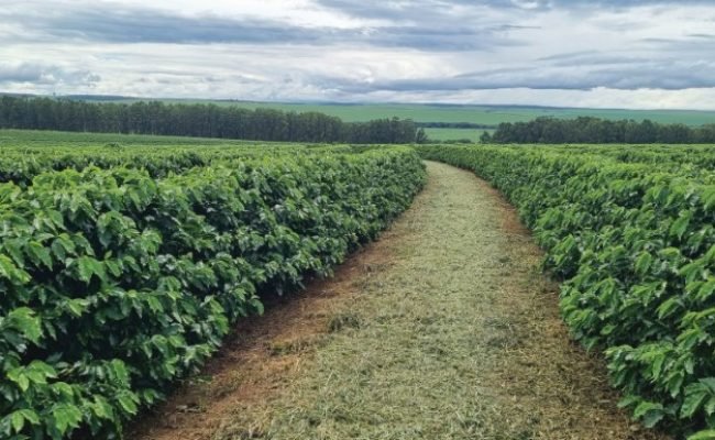 PG 70 a 75 - Foto 01 (Pequeno)